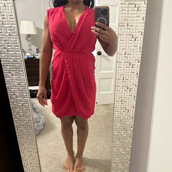 Express Dress - Picture 3 of 3